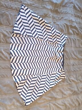 Zara Navy and White Chevron Skater Skirt